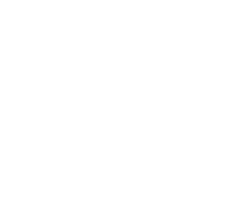 Veedelperlen